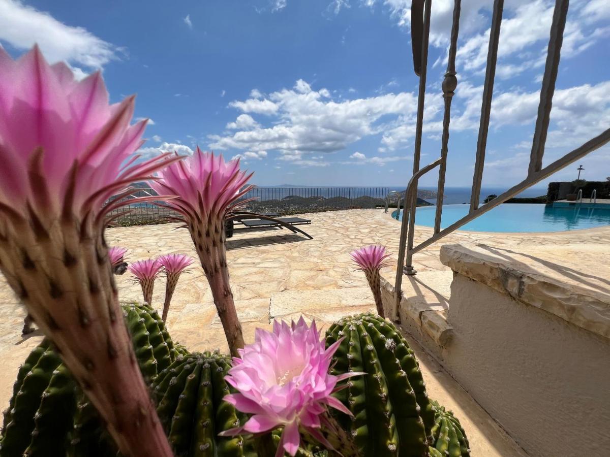Villa Endless Blue Anavyssos Esterno foto